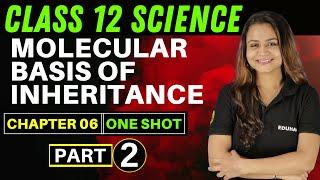 MOLECULAR BASIS OF INHERITANCE | CHAPTER 6 | ONE SHOT  | CLASS 12 | SCIENCE | KRUSHI MA'AM