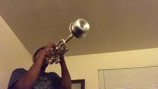 Smooth jazz trumpet with mute