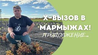 X-вызов в Мармыжах! Продолжение…