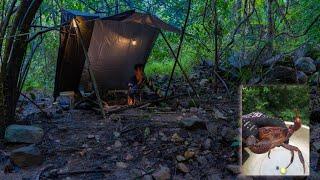 solo adventure 24 hours challenge in forest រកក្ដាមភ្នំខែភ្លៀងស្នាក់នៅក្នុងព្រៃ24ម៉ោងម្នាក់ឯង Ep 112