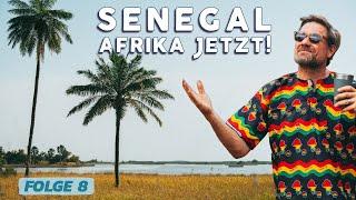 Overlanding SENEGAL | Das Abenteuer Afrika startet nun so richtig | Travel Vlog FOLGE 8