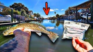 Trout Can't Resist THIS Lure! Winter Speckled Trout Fishing in Backwater Canals