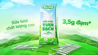 Sữa Tươi Tươi Sạch NutiMilk - chất lượng cao với 3,5g đạm/ 100ml sữa tươi.