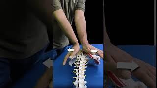 SACRO-ILIAC LIGAMENT RELEASE FOR LOW BACK PAIN.