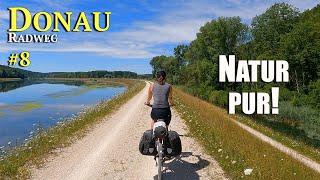 Donau-Radweg 8 | Natur Pur! Idyllische Etappe an der Donau | Europa-Radreise #33 von 53