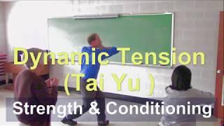 Dynamic Tension Exercise Set - Tai Yu