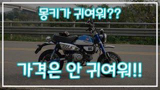 [혼다 몽키125] 몽키125 ABS 버전 신차 구입 가격은? | HONDA Monkey125 Retail price in Korea