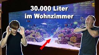 AQUARIUM DREAMHOUSE - 37.000 liter saltwater tanks *crazy* (english subtitles)