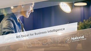 MS Excel for Business Intelligence