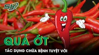 Tác Dụng Chữa Bệnh Của Quả Ớt | SKĐS