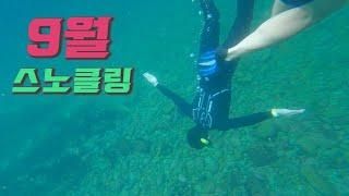 vlog. 9월에 즐기는 바다 스노클링 (거제도 최고의 스노클링 스폿 윤돌섬) #snorkeling #윤돌섬 #새우구이 #구조라 해수욕장 #돌돔 #줄돔 #스노클링 #거제도 #바다