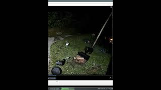 Wild Bear Terrorizes Family and Trashes Yard