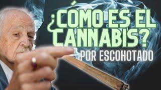 ¿QUÉ ES EL CANNABIS PARA ANTONIO ESCOHOTADO?