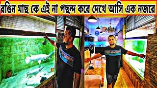 Aquarium fish price in Bangladesh|aquarium fish price in bd|biggest fish room Dhaka |fish room tour|