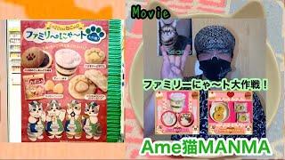 ファミリーにゃ〜ト大作戦！️Ame猫MANMA ①