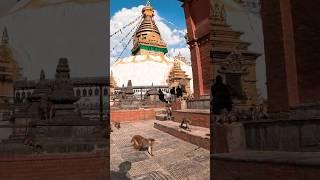 Kathmandu Monkey Temple - Nepal