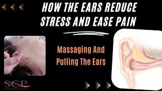 How The Ears Reduce Stress And Ease Pain