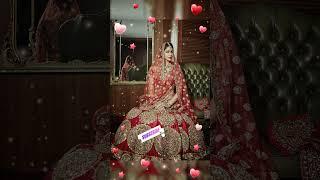 Indian wedding wear lehenga by vibhus Collection #shorts #youtubeshorts #lehenga #fashion #viral