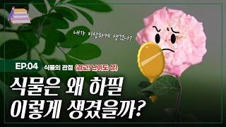 [술술과학] 최초로 땅을 밟은 식물은?_식물 EP.04 (식물의 관점#3)