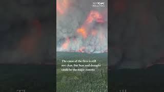 Helicopter view of Canada's wildfires