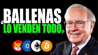 ALERTAVAN A COLAPSAR LAS CRYPTO?   PROTÉGETE AHORA y APROVECHA la OPORTUNIDAD