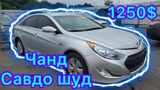 ЕКОНОМ ВАРЯНТО АУКЦИОН США  Sonata️Elantra️Sportege️Sorento