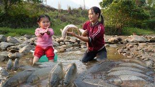 How to harvest fish in the traditional way - Caring for and cooking food for pets