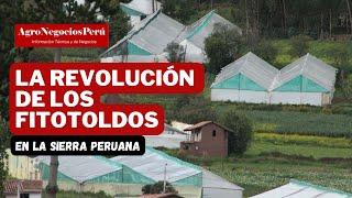 La revolución de los fitotoldos en la sierra peruana