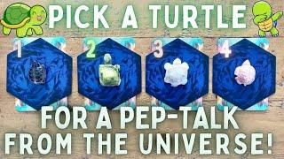 A Pep-Talk from the Universe️PICK A TURTLE In-Depth Timeless Psychic Tarot Reading