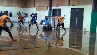 Amazing Saves By Rick Baker & Steve Dickinson - Best Ball Hockey Saves - Top Ball Hockey Goalies