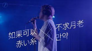 如果可以+不求月老+赤い糸+만약 / 原唱韋禮安 [Covered by 應智越 細貓]｜電影《月老》主題曲