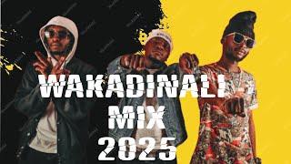 BEST OF WAKADINALI VIDEO MIX 2025 BY DJ CIFIC FT TAMASHANI, SIKUTAMBUI ,TOP SCORER ,MCMCA #drillmix