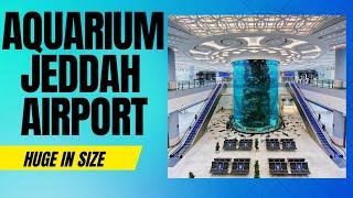 Huge Aquarium at Jeddah Airport Saudi Arabia | Worlds largest airport aquarium