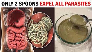 Only 2 Spoons to Completely Expel Worms and Parasites from Your Body!