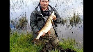 Pike Fishing Scotland ( BIG Perch and Pike )