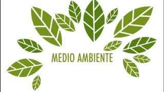 Desarrollo Sostenible - Medio Ambiente