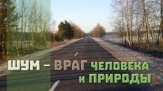 Шум - враг человека и природы