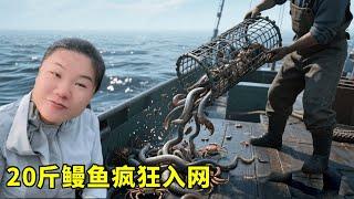 趕海人的高光時刻！ 20斤海鰻瘋狂入網，小漁呼這波血賺！ 【漁小仙】