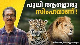 പുലിയുടെ അടുത്ത ബന്ധു സിംഹമാണ് , കടുവയല്ല leopard is closely related to the lion #പുലി #animalsfacts