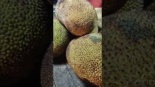 Kathal Vegetable, Jackfruit vegetables, Jackfruit Cutting