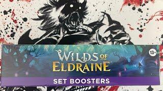 Wilds of Eldraine Set Box Opening #5 - This Box Brought the Goods!