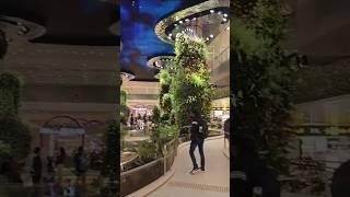 Dil Di Nazar️# Singapore Airport ## Short Video #song#