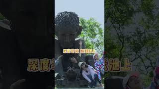 在池上來個完美甩尾#卡丁車#純電綠能環保#大坡池#伯朗大道