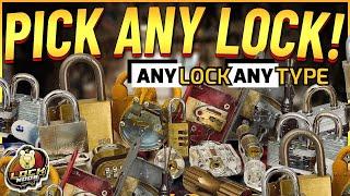 Pick EVERY Type of Lock!