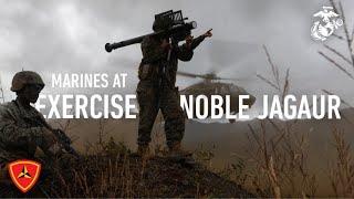 US Marines at Exercise Noble Jaguar 2021 | US Marines Training In Japan | Marine Training in Okinawa