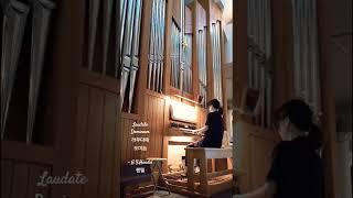 [Organ Story] Laudate Dominum 라우다떼 도미눔, -곡:G.F.Handel 헨델, -편곡Arr. Hyeon Jung Kim, Catholic Hymns 83