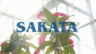 Sakata Seed America Company Story