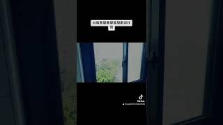 1.全新整理，屋況棒，24H管理2.平面車位，車位獨立權狀3.社區108年全部更換電梯4.低公設、鄰近學校、購物飲食方便5.出門即公園，俯瞰運河景觀#台南房仲 #台南安平區 #台南