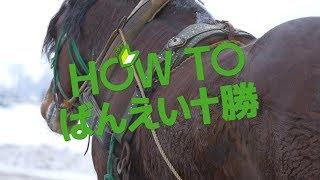 【ばんえい十勝公式】HOW TO ばんえい十勝　～ばんえい十勝入門～