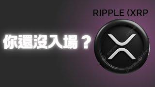 XRP將成為下一個百倍幣，你還沒入場?  這是你最後上車的機會。